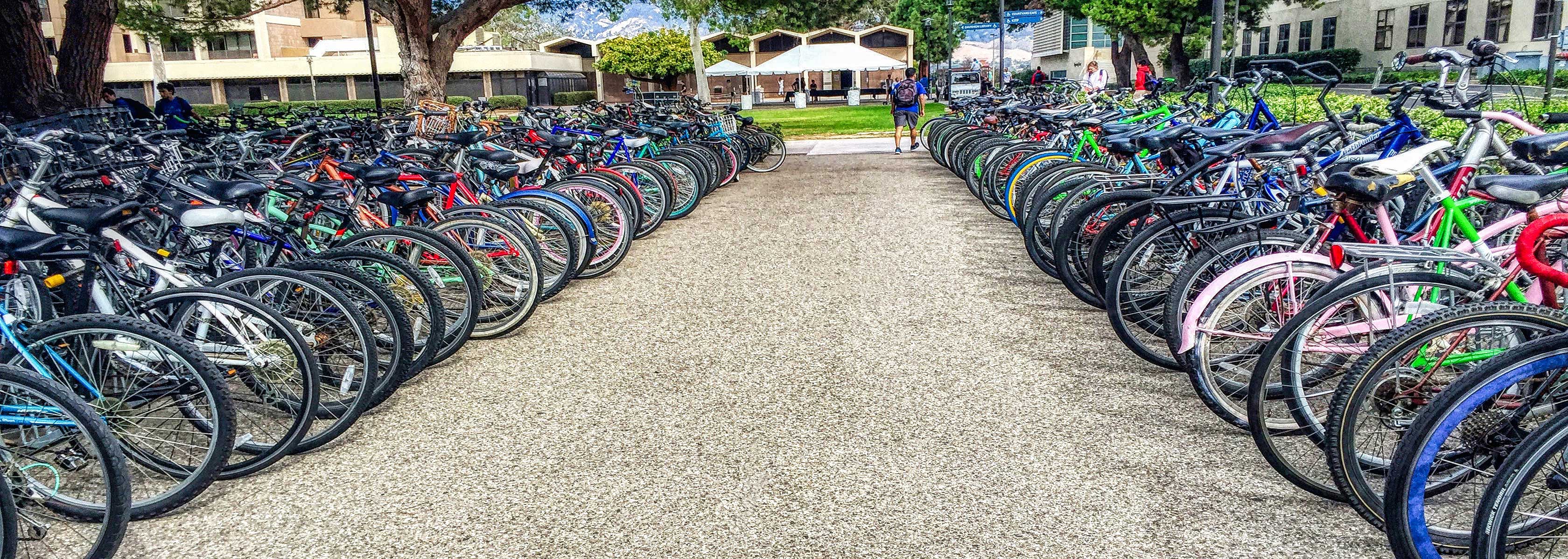Full Campus Bike Racks